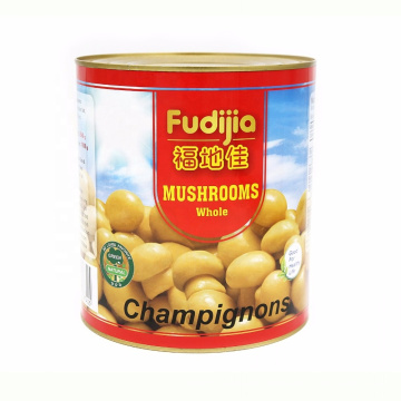 Canned mushroom champignons pns